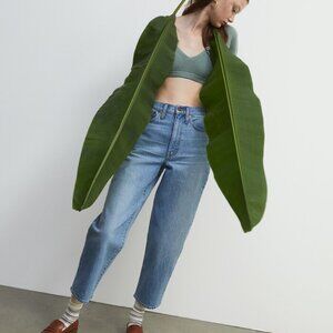 Madewell Tall Balloon Jeans in Whistler Wash: 29T